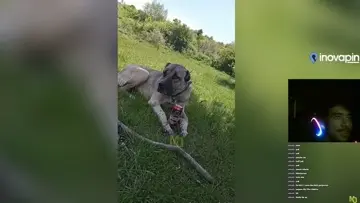 :d