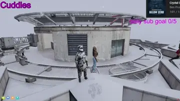 Holy (flying) Cow!