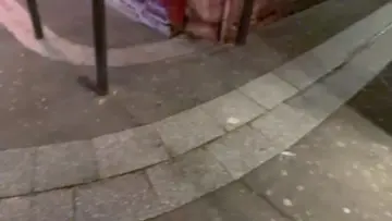 Los Gringos