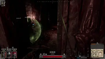 Pvp Nashi