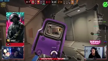 Professional Wallbanger