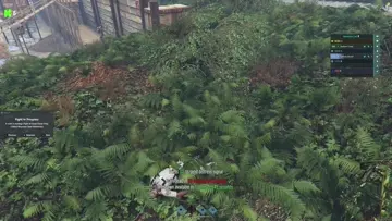 -_-