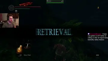 Bonfire Bliss My Joyful Dark Souls Campfire Party!