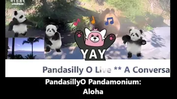 PandasillyO Pandamonium Aloha