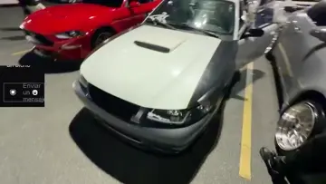 mustang