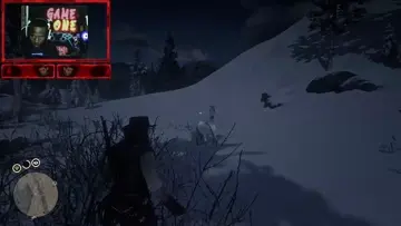 capturing and taming the the elite arabian hourse