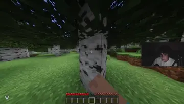 objetivo de este cap 1