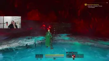 bug