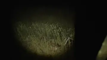 Touch Grass
