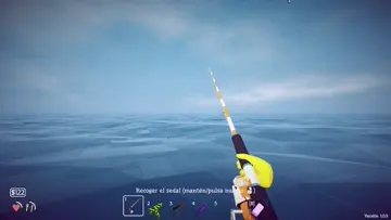 xd
