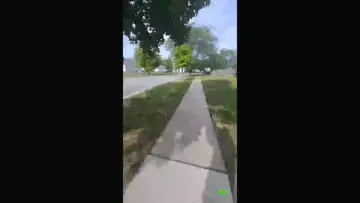 ty