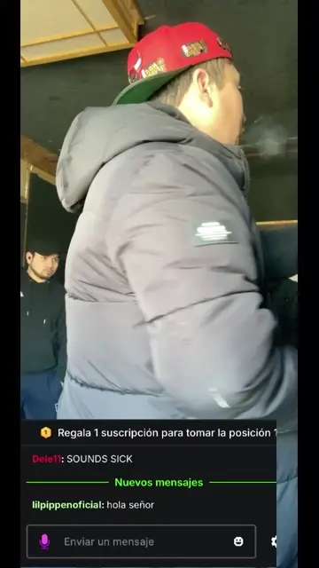 confuciones de un artista al mnto 90
