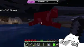 Y voló xd