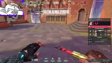 1v6 .d