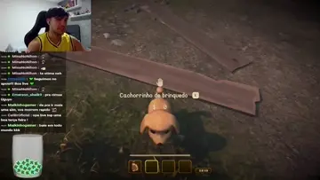 cachorrinho