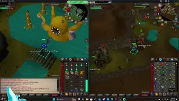 Second Kraken Pet 1214 Killcount