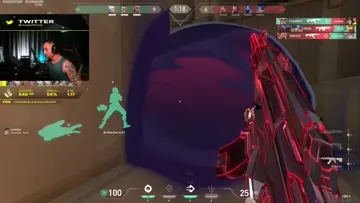 vandal4