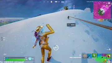 WELP