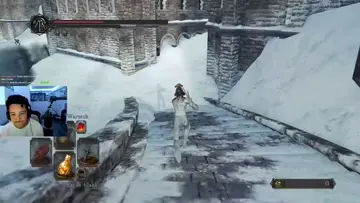 the ds2 experience