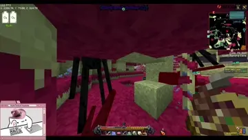 WAMPULA MEHTER