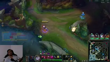 1 kill briar