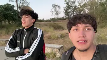 escucharon perritas