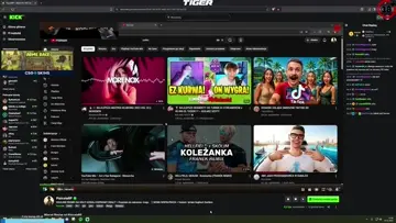 Tiger mocne slowa o Pisiceli