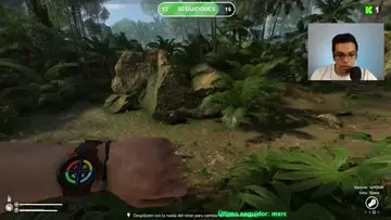 Armadillo