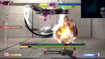ryu oyuncuları