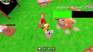 Xd