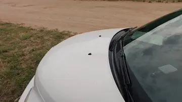 Stickin' it to nature