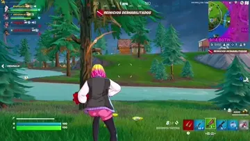Xd