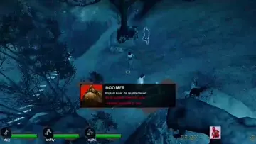 XD