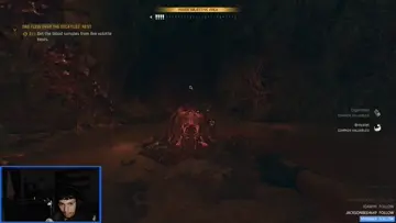 RUN