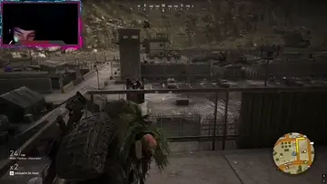 insano