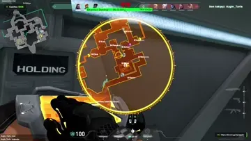 ACE
