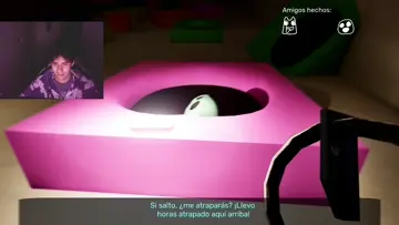mini susto