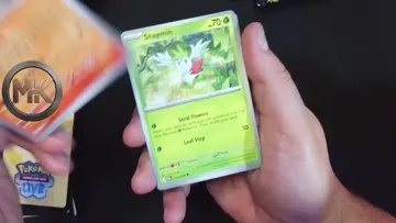 Sale Clefairy