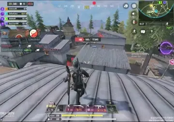 CODMBugs