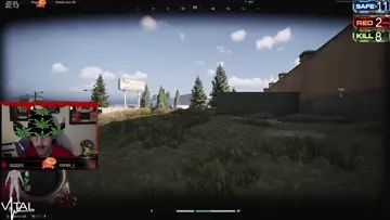 bottom left bush