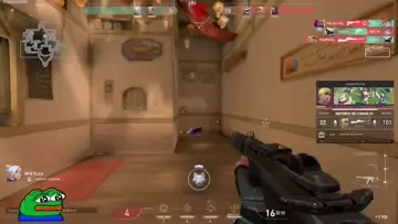 insano