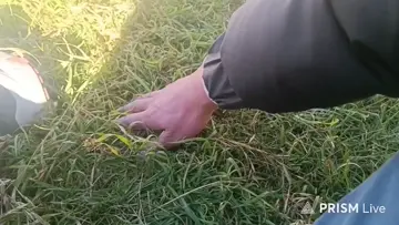 Touching Grass is Underrated for 30 minutes.