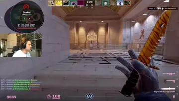 spinbot
