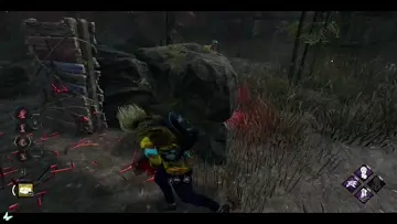 xd