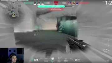iimune to blinds and stuns