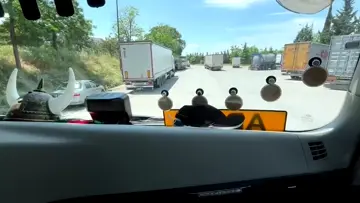 tırla ilk tanışma