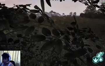 No vayas a la boca de un rex