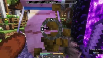 xd