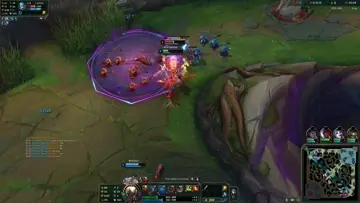 feci