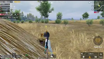 Go go no bro
